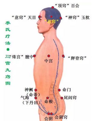 督脉任脉