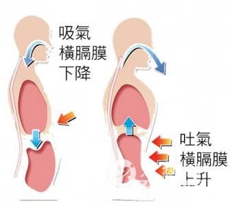 内隔膜