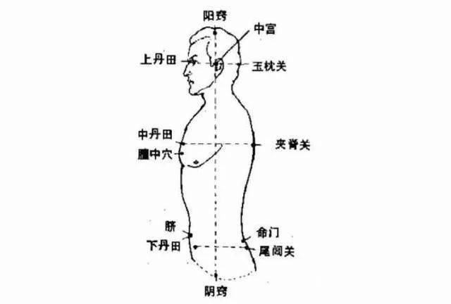 任督脉